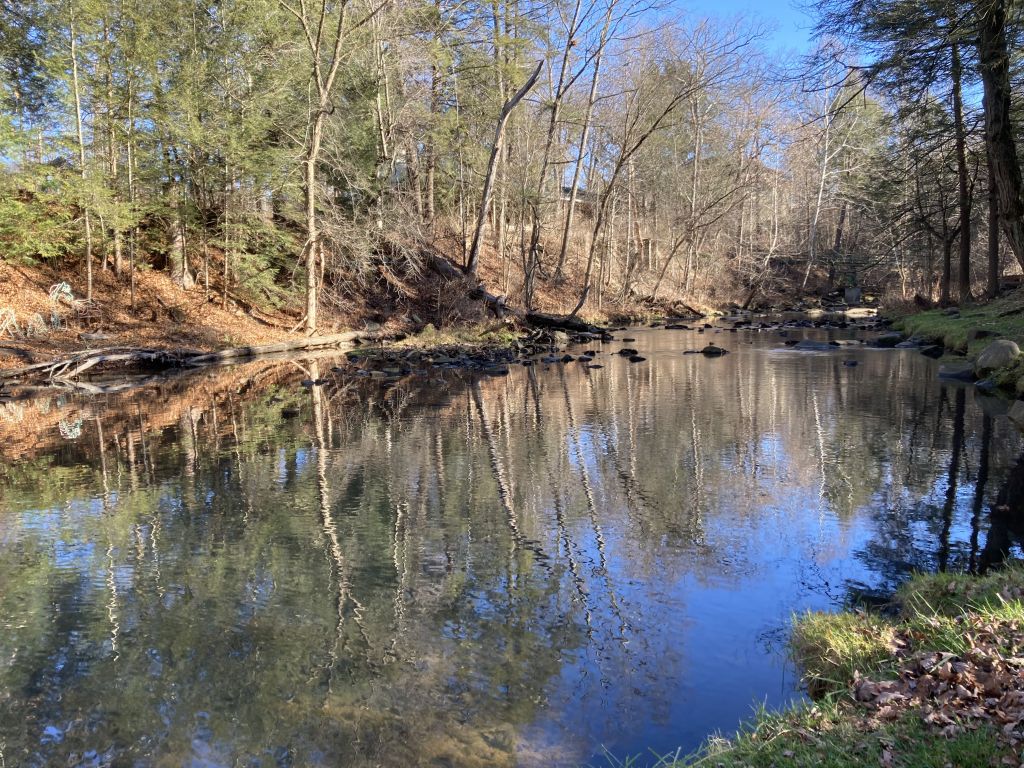 A body of still water with the blue sky reflected in it.